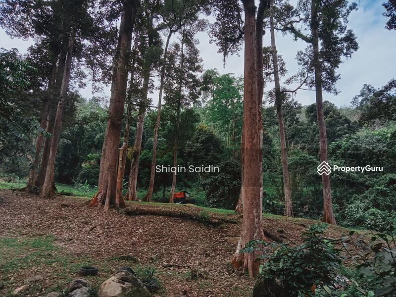 Agricultural Land for Sale in Rawang (Selangor) - Shiqin Saidin - PropertyGuru.com.my