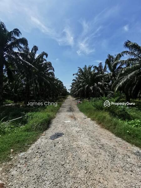 For Sale - telok gong