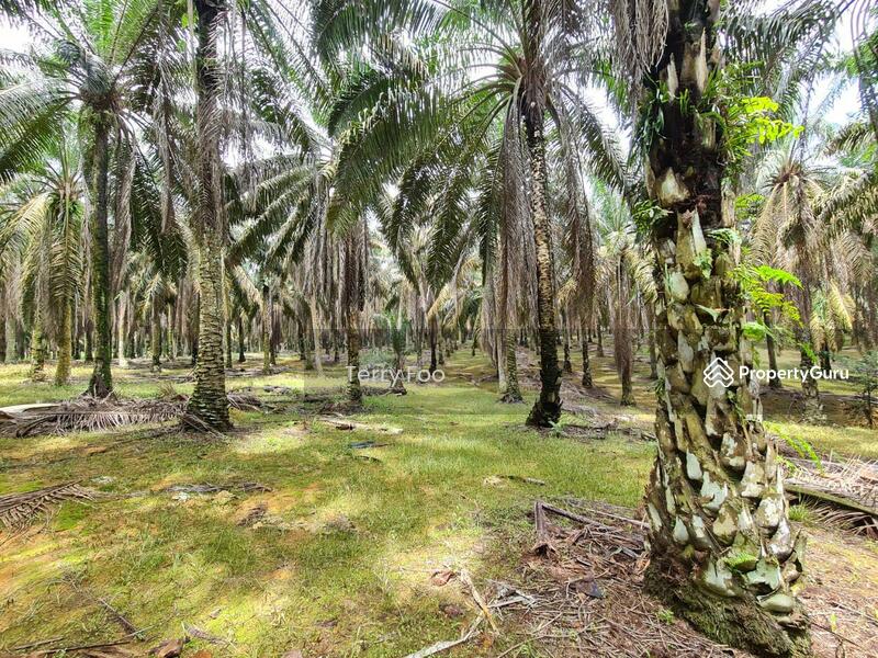 Agricultural Land For Sale, in Kulai, Johor PropertyGuru Malaysia