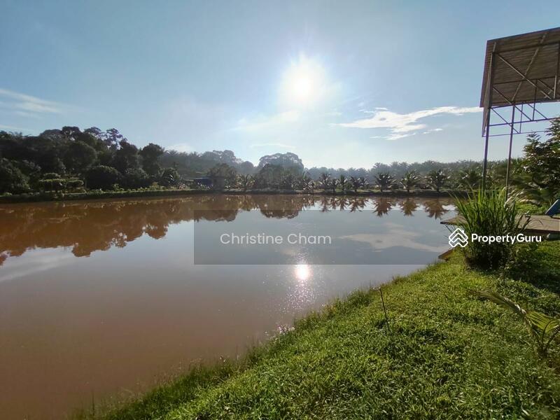 Agricultural Land for Sale in Kota Tinggi (Johor) - Christine Cham - PropertyGuru.com.my