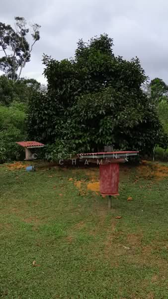 Agricultural Land for Sale in Kota Tinggi (Johor) - Christine Cham - Exterior - PropertyGuru.com.my