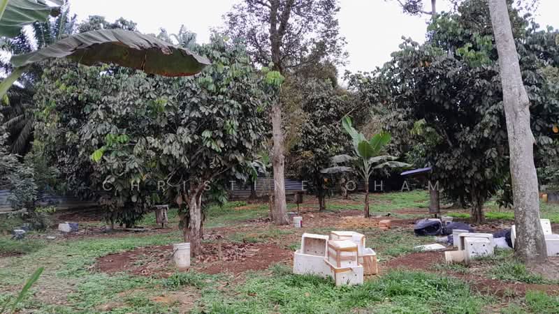 Agricultural Land for Sale in Kota Tinggi (Johor) - Christine Cham - Exterior - PropertyGuru.com.my