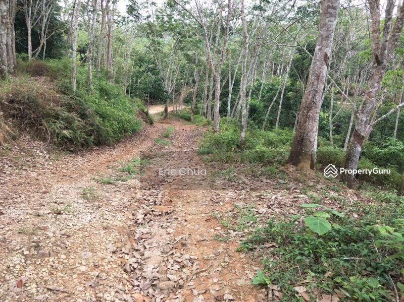 4.77 acres Rubber Estate at Kampung Balun, Slim River Perak, Kampung
