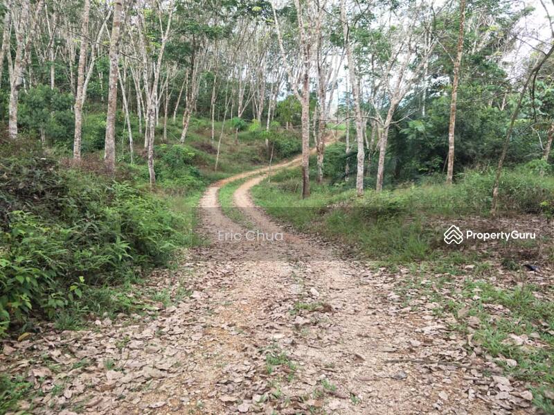 4.77 acres Rubber Estate at Kampung Balun, Slim River Perak, Kampung