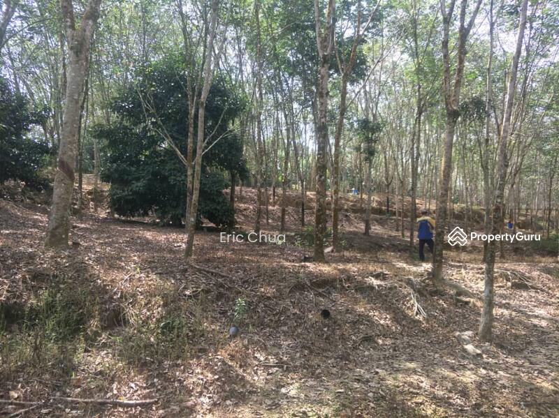 5 acres rubber estate at Slim River, Perak, Slim river, Tanjung Malim