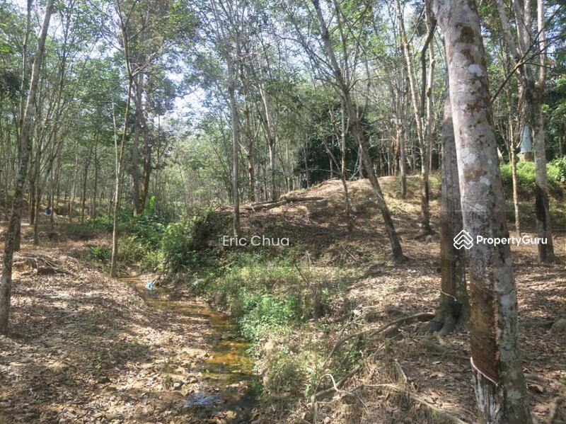 5 acres rubber estate at Slim River, Perak, Slim river, Tanjung Malim