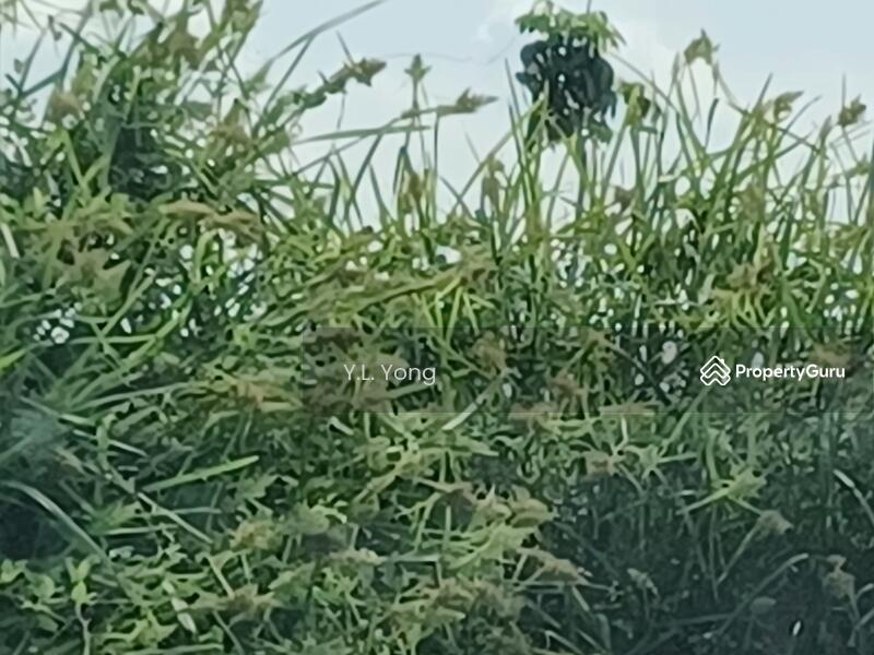 Commercial Land for Sale in Enstek Technology Park (Bandar Enstek) - Y.L. Yong - PropertyGuru.com.my