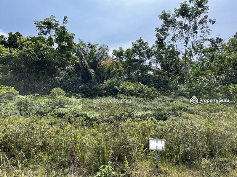 Untuk Dijual - College Heights Garden Resort, Pajam