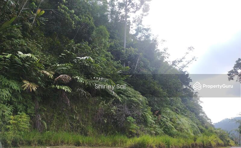 For Sale - Tanarimba,Janda Baik