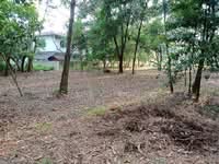 For Sale - PUTRA CREST BUNGALOW LAND FOR SALES (SUBANG JAYA)