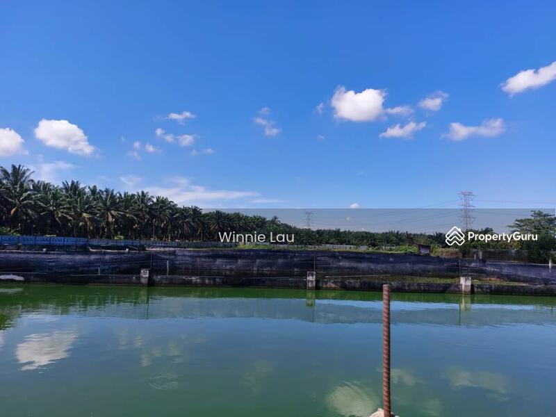 Mukim Plentong, Fish Farm, Land Plentong, Johor Bahru., Iskandar Puteri