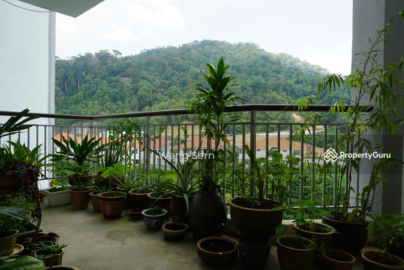 Untuk Disewa - Desa Mar Vista