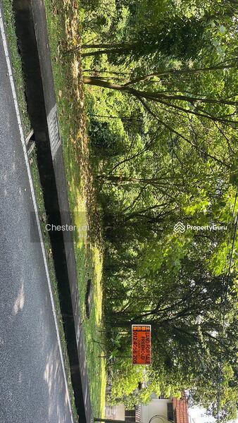 Tanah Pertanian untuk Dijual di Kuantan (Pahang) - Chester Lai . - PropertyGuru.com.my