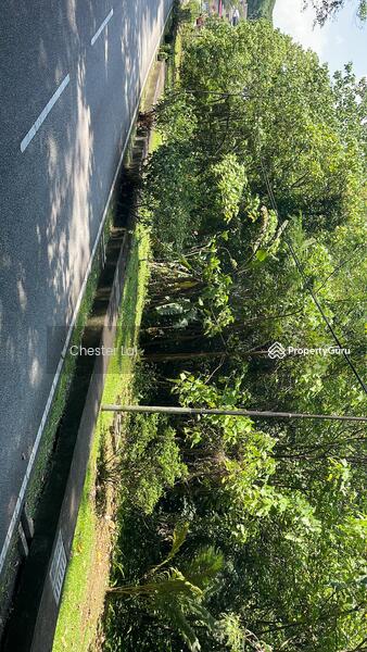 Tanah Pertanian untuk Dijual di Kuantan (Pahang) - Chester Lai . - PropertyGuru.com.my