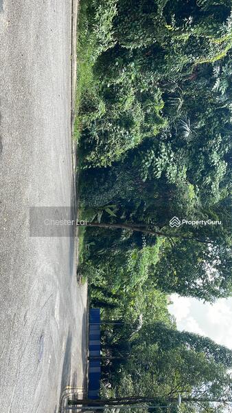 Tanah Pertanian untuk Dijual di Kuantan (Pahang) - Chester Lai . - PropertyGuru.com.my