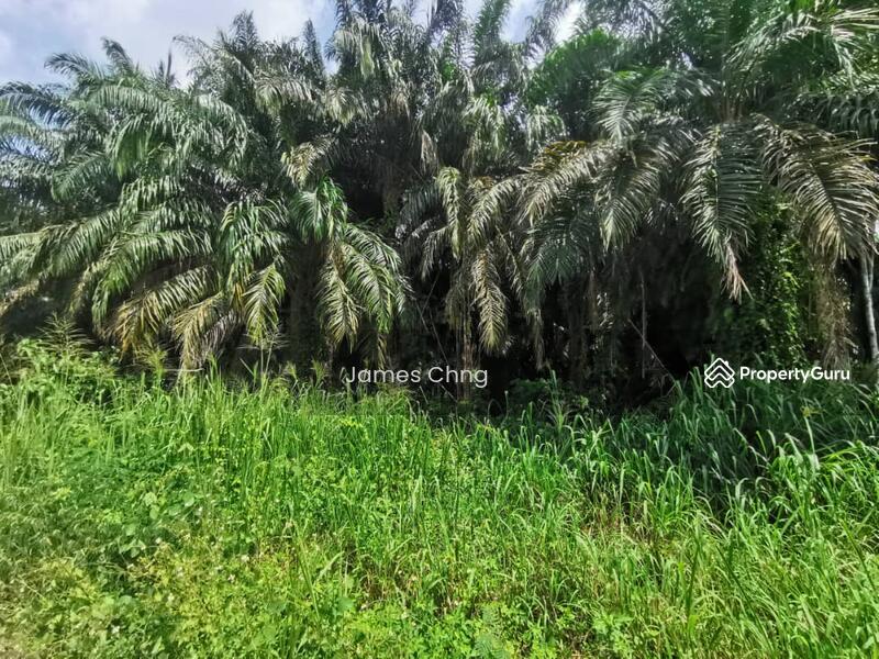 For Sale - sungai buloh