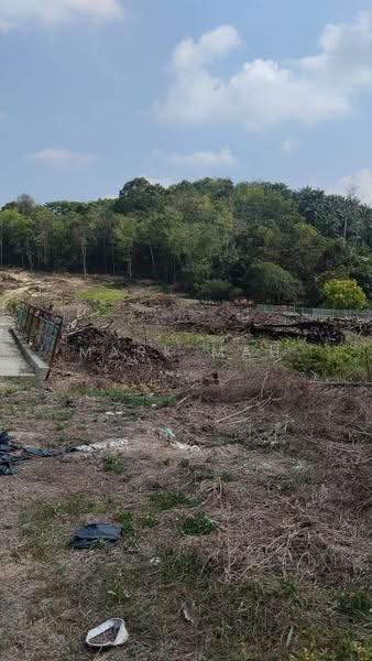 Tanah Pertanian untuk Dijual di Tanjung Kupang (Iskandar Puteri (Nusajaya)) - Mark Mah - Exterior - PropertyGuru.com.my