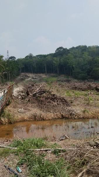 Tanah Pertanian untuk Dijual di Tanjung Kupang (Iskandar Puteri (Nusajaya)) - Mark Mah - PropertyGuru.com.my