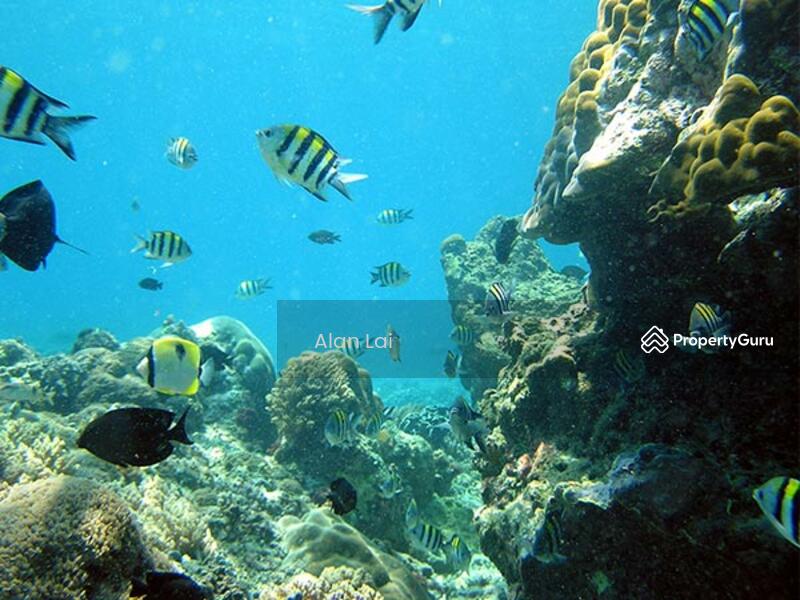 For Sale - bak bak beach