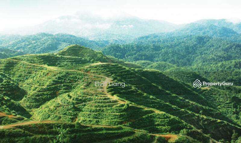 For Sale - lenggong
