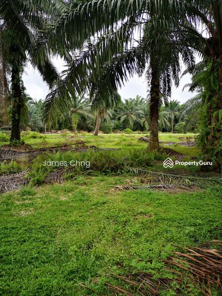 banting untuk Untuk Dijual - RM 33,105,600, Apr 2026 - PropertyGuru.com.my