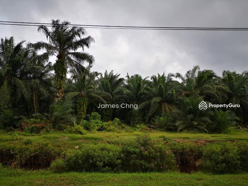 banting untuk Untuk Dijual - RM 33,105,600, Apr 2026 - PropertyGuru.com.my