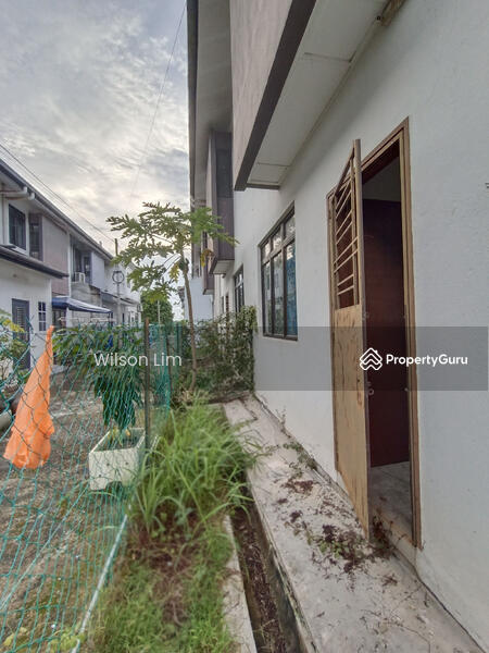 For Sale - Murraya