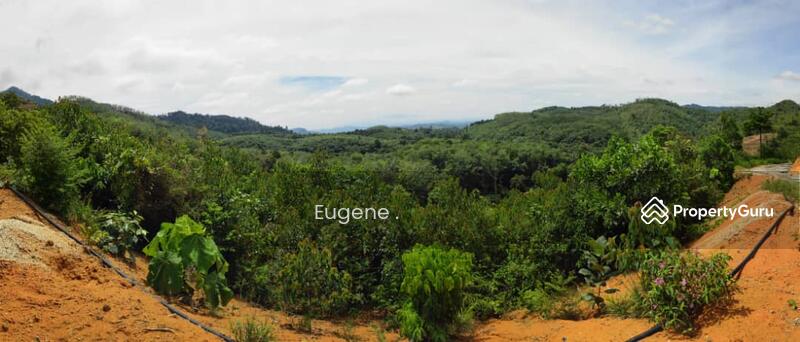 Agricultural Land for Sale in Karak (Pahang) - Eugene Yap - PropertyGuru.com.my