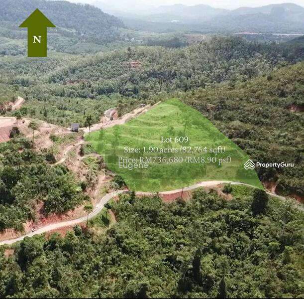 Agricultural Land for Sale in Karak (Pahang) - Eugene Yap - PropertyGuru.com.my