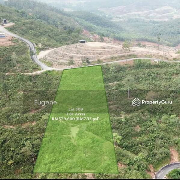 Agricultural Land for Sale in Karak (Pahang) - Eugene Yap - PropertyGuru.com.my