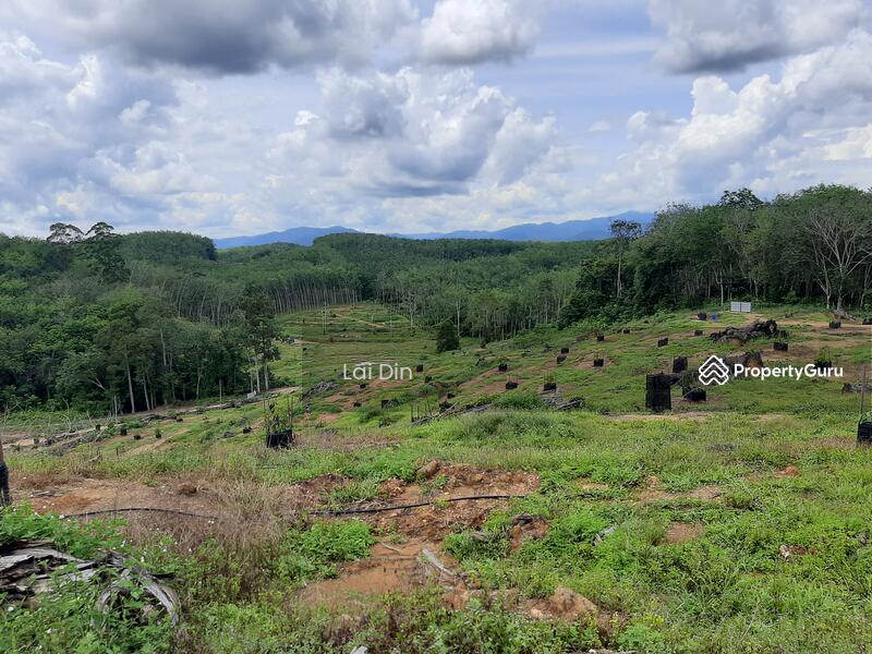 Agricultural land at Kg. Chennah, Titi, Negeri Sembilan., Jelebu