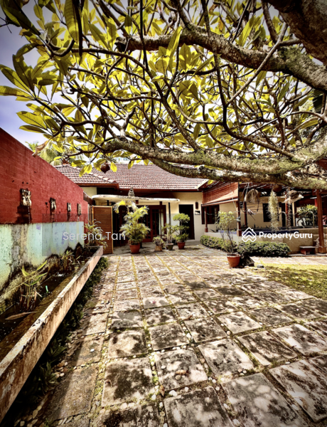 For Sale - Single-Storey Bungalow in Tanjung Bungah Park.