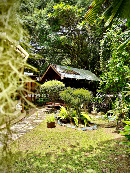 For Sale - Single-Storey Bungalow in Tanjung Bungah Park.