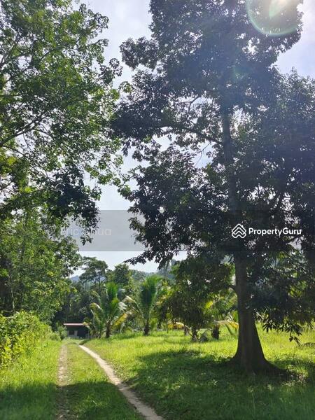 For Sale - 6.06 acres mix fruit farm at riverside Gopeng, Perak