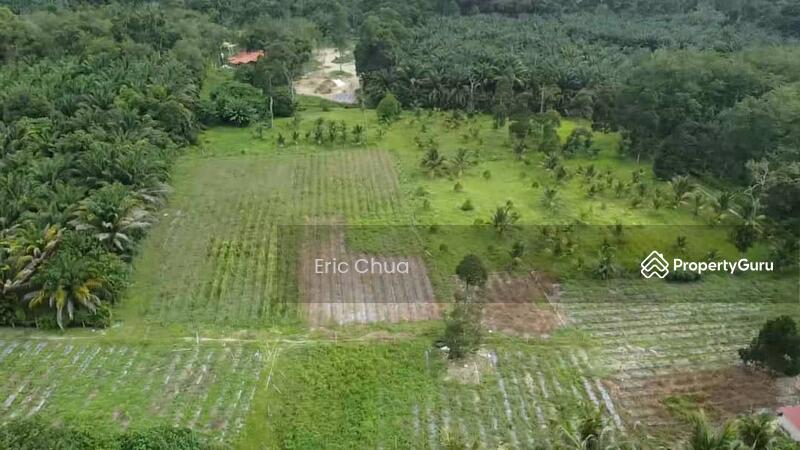 For Sale - 6.06 acres mix fruit farm at riverside Gopeng, Perak