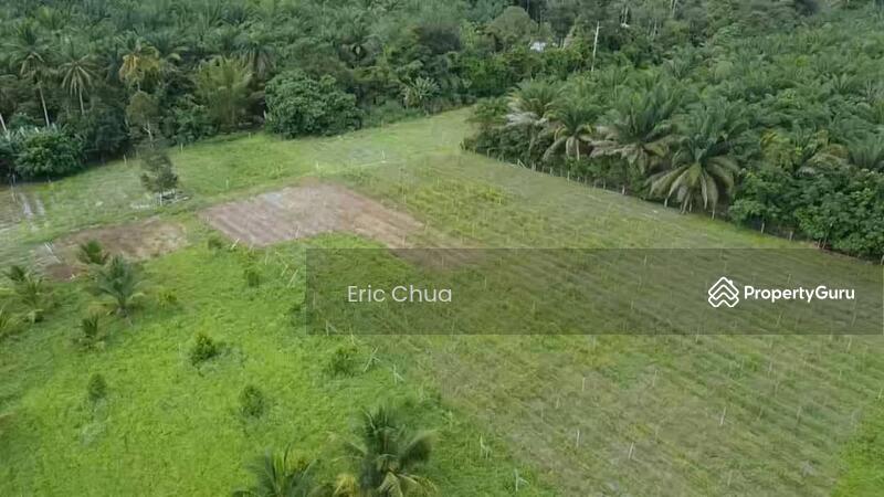 For Sale - 6.06 acres mix fruit farm at riverside Gopeng, Perak