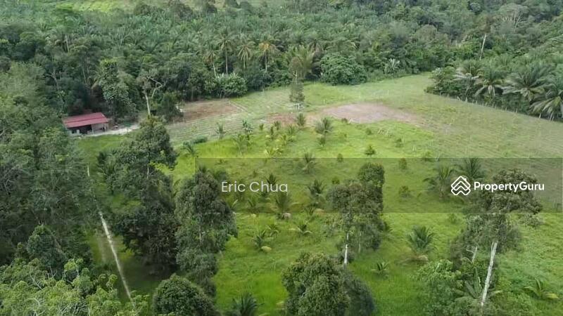 For Sale - 6.06 acres mix fruit farm at riverside Gopeng, Perak