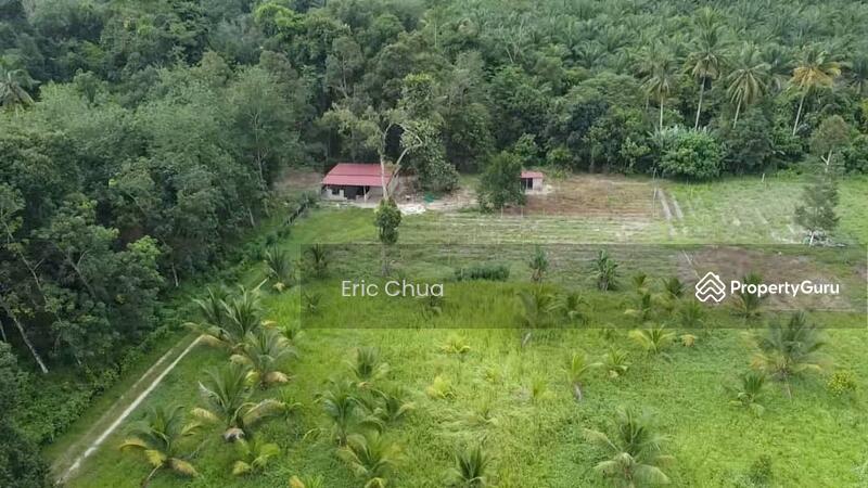 For Sale - 6.06 acres mix fruit farm at riverside Gopeng, Perak