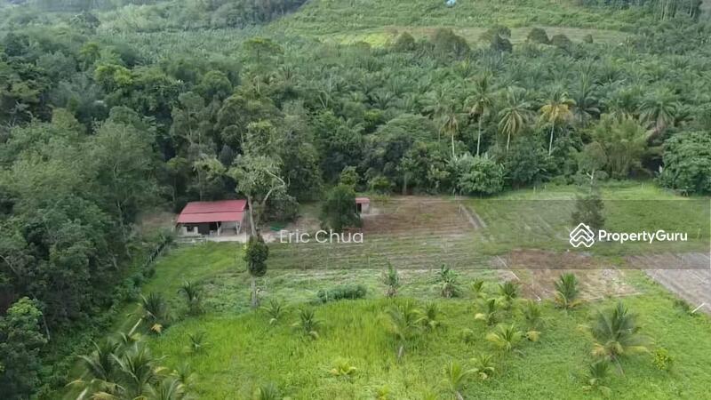 For Sale - 6.06 acres mix fruit farm at riverside Gopeng, Perak