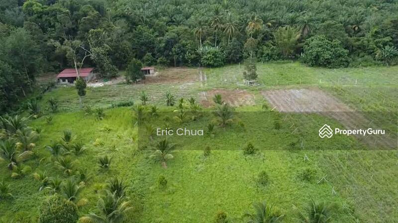 For Sale - 6.06 acres mix fruit farm at riverside Gopeng, Perak
