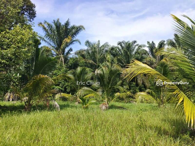 For Sale - 6.06 acres mix fruit farm at riverside Gopeng, Perak