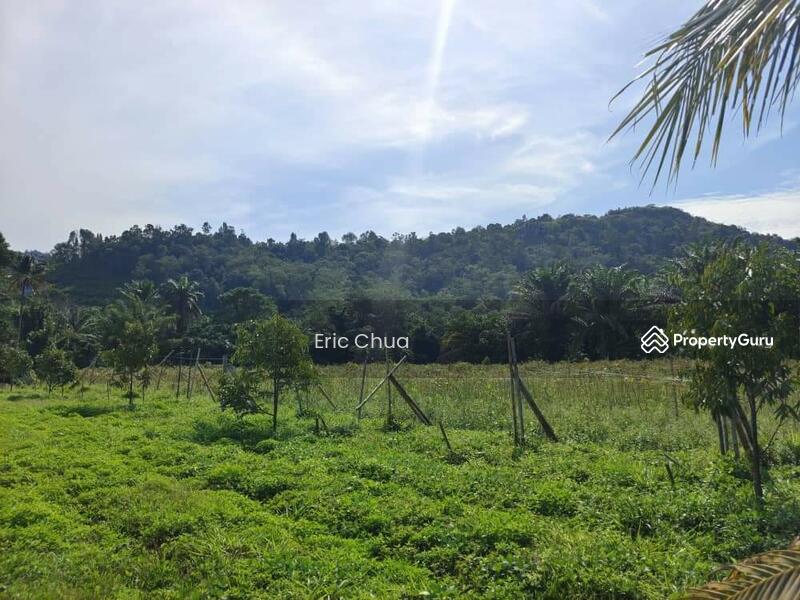 For Sale - 6.06 acres mix fruit farm at riverside Gopeng, Perak