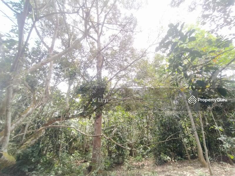 Labis Agricultural Land Zoning Residential, Suitable for Housing Development, Roadside 1st piece