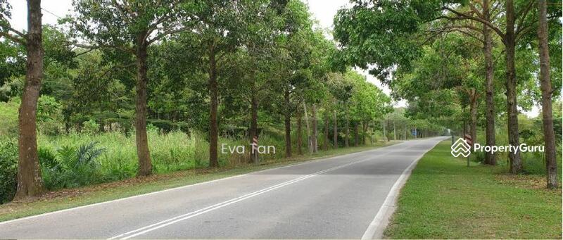 Industrial Land for Sale in Kampung Baru Sedenak (Sedenak) - Eva Tan - PropertyGuru.com.my