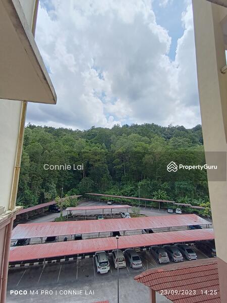 Apartment for Rent at Golf Vista Resort Homes - Connie Lai - PropertyGuru.com.my