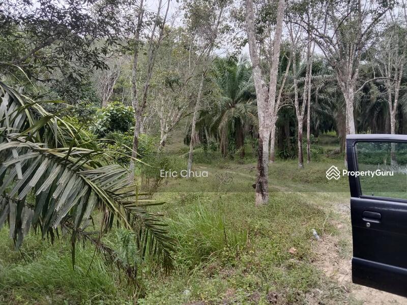 8 acres Palm Oil land at Sungai Siput,Perak, A155, Sungai Siput, Kuala