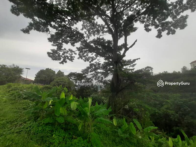 Tanah Kediaman untuk Dijual di Taman Duta (Bukit Tunku (Kenny Hills)) - Elaine Kow - PropertyGuru.com.my