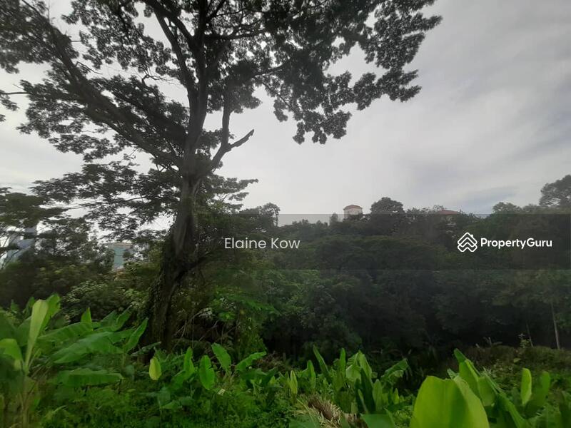 Tanah Kediaman untuk Dijual di Taman Duta (Bukit Tunku (Kenny Hills)) - Elaine Kow - PropertyGuru.com.my