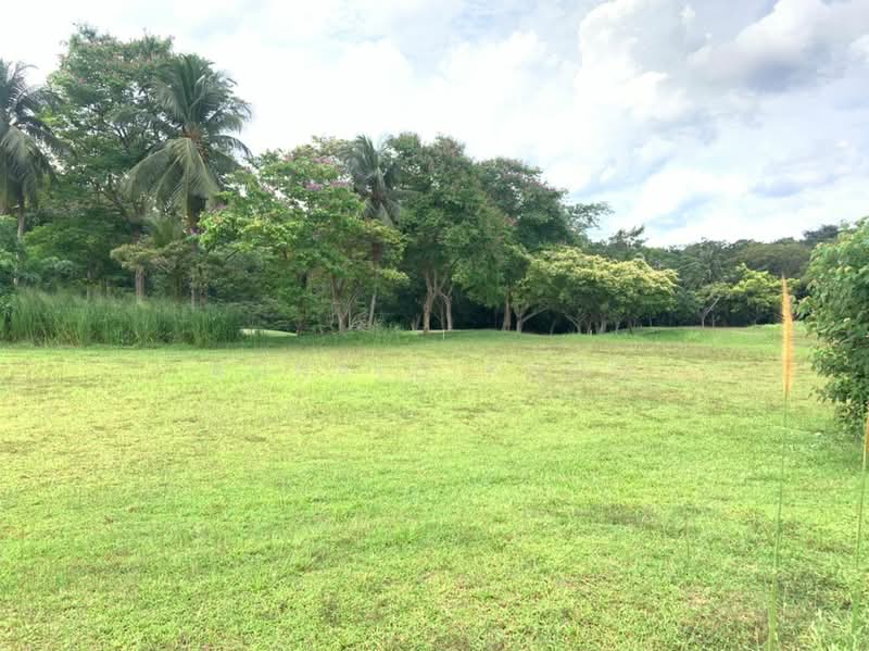Residential Land for Sale in Alor Gajah (Melaka) - Ronald Khoo - PropertyGuru.com.my