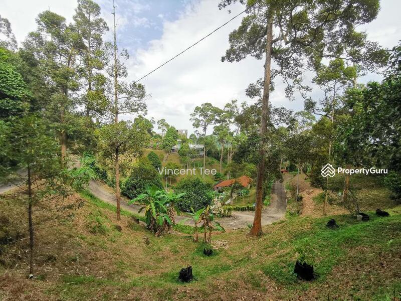 24. 2 Acres Hilly Farm with Durian Agarwood Bukit Relau Balik Pulau